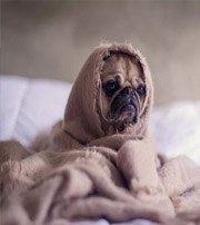 临沂有这样的手机号码，留不住钱，你中枪了吗？