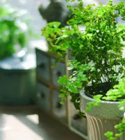 临沂专属于你的开运指南，助你鸿运当头福满身！