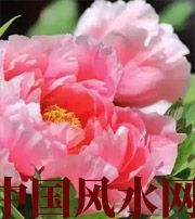 临沂预示你财运上升，姻缘可成的梦境，快来看看吧！