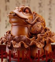 临沂解读金蟾最合适的位置，这样摆放更招财！