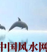 临沂做梦梦到这些，是要富裕的征兆！